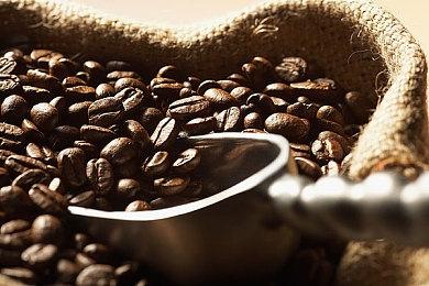 《崩坏：星穹铁道》预约人数破2000万 4月26日上线