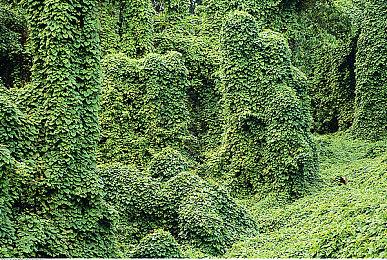 《机械战警：暴戾都市》独立资料片公布 今夏发售