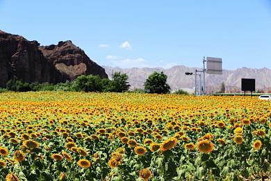 《碧蓝幻想》将联动《最终幻想11》 活动5月正式上线